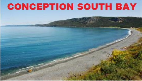 conception bay south